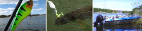 banner1.jpg